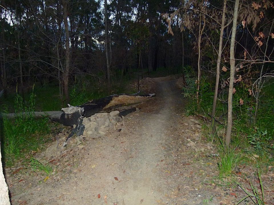 P1160364.jpg